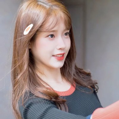 公鸡